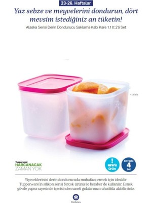 Frefly Store Tupperware Alaska Serisi Derin Dondurucu Saklama Kabı Pembe