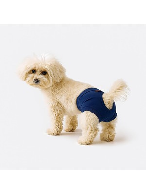 Frefly Store Mpz Pets Kedi ve Köpek Kıyafeti & Külodu Lacivert Külot Xl