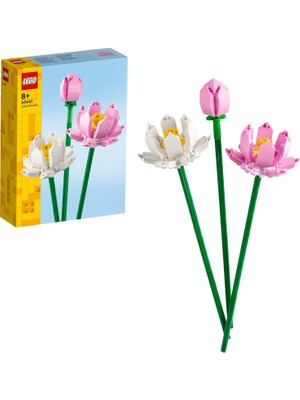 Frefly Store LEGO Botanicals Lotus Çiçekleri 40647