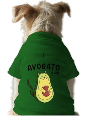 Frefly Store Mpz Pets Kedi ve Köpek Kıyafeti & Elbisesi Yeşil Sweatshirt Avagado M