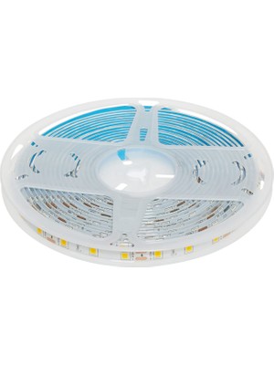 Frefly Store Cata CT-4492 10ç Dış Mekan Amber LED Şerit, 5m