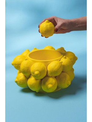 Frefly Store Limon Dikey Silikon Mum Kalıbı