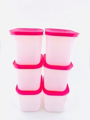 Frefly Store Tupperware Alaska 6 Lı 1.1 Lt Derin Saklama Kabı (6x1.1 Ml)