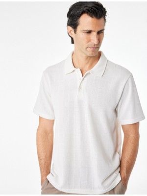 Frefly Store Regular Fit Kısa Kollu Düğmeli Polo Yaka Basic Tişört