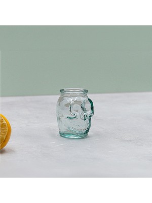 Frefly Store San Miguel Skull Su Bardağı 50 cc