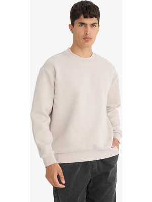 Frefly Store Defacto Relax Fit Bisiklet Yaka Sweatshirt E9536AX25AU