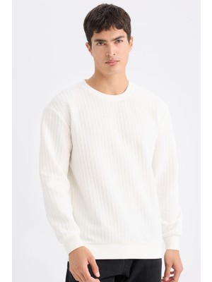 Frefly Store Defacto Regular Fit Bisiklet Yaka Jakarlı Sweatshirt D5391AX24AU