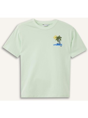 Frefly Store DEFACTO%100 Pamuk New Regular Fit Bisiklet Yaka Baskılı Kısa Kollu Tişört Erkek Çocuk H4324A826HS