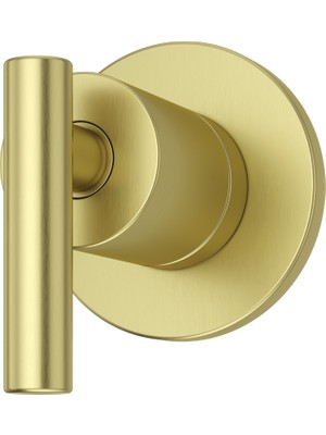 Frefly Store Pfister 016NC1BG Contempra 1 Kollu Yönlendirici Kesim, Fırçalanmış Altın