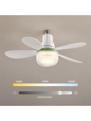1001 6 Kanatlı LED Tavan Vantilatörü