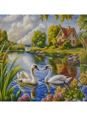 Elegantshop 5d Yapışan Boncuk Mozaik Tablo 30*40 cm L27