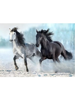Skygo Revify 1000 Parça Puzzle - Horses (Atlar)