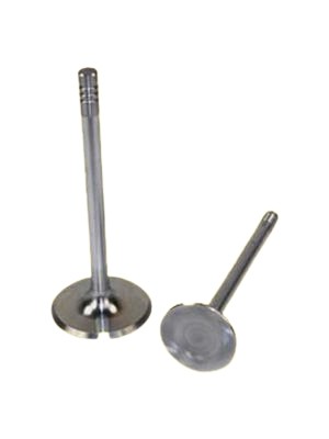 Supap Takimi In-4/ex-4 Volkswagen Polo 1.6 Classic (Eng.aft-Akl-Apk-Azm-Arm) Güneş Gns 5904-5901