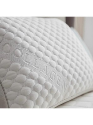 Gensco Collagen Özellikli Yastık Kılıfı Kırışıklık Karşıtı Fermuarlı Yastık Kılıfı 40X60 cm