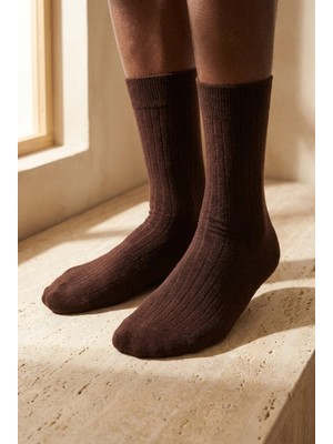 Bony Socks Erkek Şeritli Soket Çorap Kahverengi