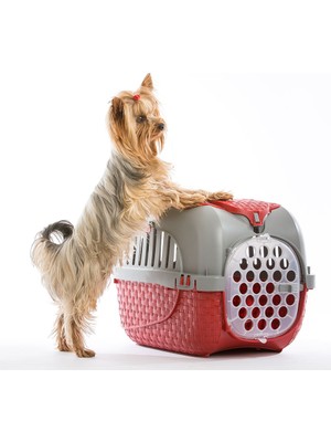 Bama Pet Maxy Evcil Hayvan Taşıma Kutusu Bordo