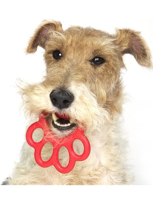 Bama Pet Orma Mini Köpek Oyuncağı Mavi