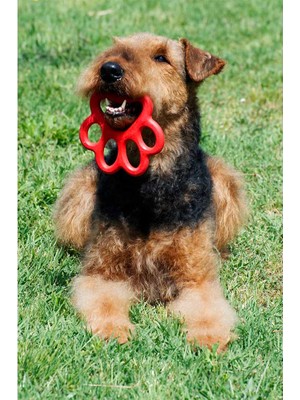 Bama Pet Orma Köpek Oyuncağı Sarı