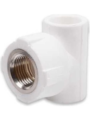 Bezos Pprc 20MM1/2 Iç Dişli T