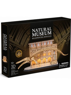 NW NessiWorld Natural Museum - Mavi Balina 3D Puzzle LED Işıklı