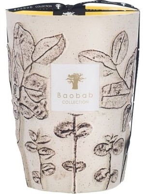 Baobab Collection Max 24 Folia Calanque Kokulu Mum, Okaliptüs Motifli Beyaz Seramik, Bergamot & Yeşil Çay Kokusu