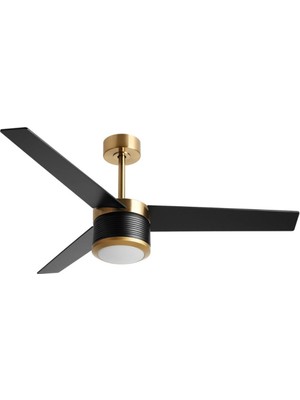 Reiga 52 Inç Modern Tavan Vantilatörü, 3 Ahşap Kanat, Sessiz Dc Motor, LED Işık ve Uzaktan Kumandalı