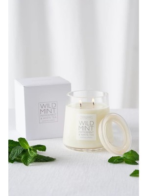 The White Company Wild Mint Nane Kokulu Mum 380 G