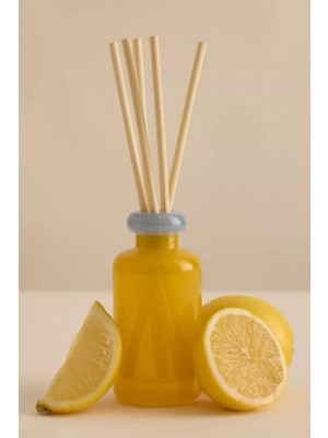 Anthropologie Paddywax 5'li Kokulu Çubuklu Oda Kokusu Difüzör 94 ml
