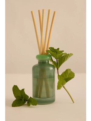 Anthropologie Paddywax 5'li Kokulu Çubuklu Oda Kokusu Difüzör 94 ml
