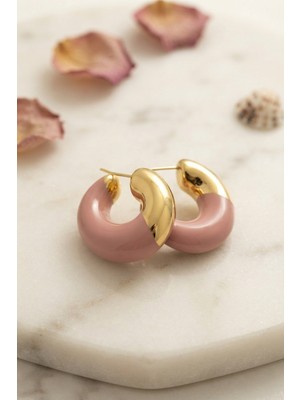 Aesco 316L Çelik Gold Renk Pembe Halka Model Kadın Küpe - Lisinya