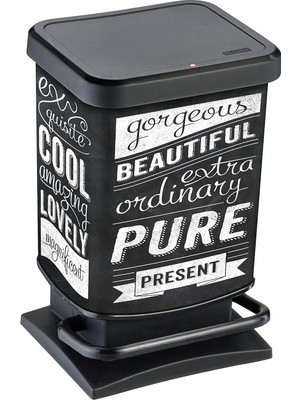 Rotho Paso Çöp Kovası 20 L, Koku Geçirmez Kapaklı, Plastik (Pp), Hipster, 20 Litre (29,3 x 26,6 x 45