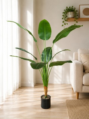 Yapay Çiçekçiniz 130 cm Yapay Starliçe Ağacı 9 Büyük Yapraklı