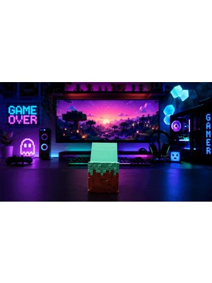 1001 Xbox Joystick Stand Mcraft Edition