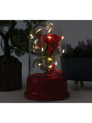 Özka Leather Hediyelik LED Işıklı Gül Fanus