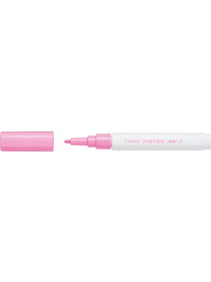 Pilot Pintor F, Pembe
