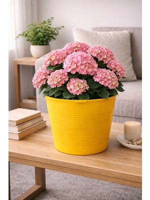 Plant Home Power Mix Büyük Boy 9.8 Litre Sarı Dekoratif Saksı – Iç ve Dış Mekan Uyumlu Saksı