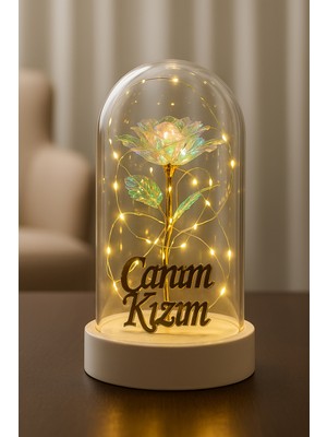 Alshop Canım Kızım Yazılı LED Işıklı Solmayan Güllü Gece Lambası Fanus Dekor Süs