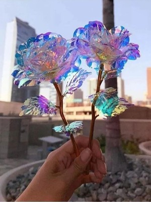 Alshop 2 Adet Sonsuzluk Gülü Galaxy Sevgiliye Hediye Anneler Sevgililer Günü Özel Gün Hediyesi