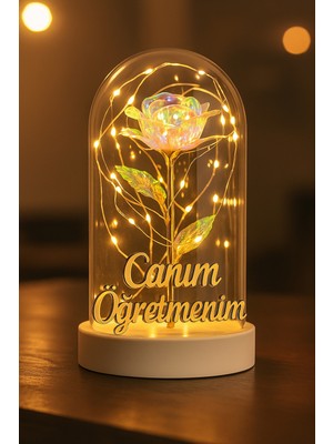 Alshop Canım Öğretmenim Yazılı LED Işıklı Solmayan Güllü Gece Lambası Fanus Dekor Süs