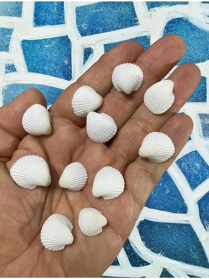 50GR