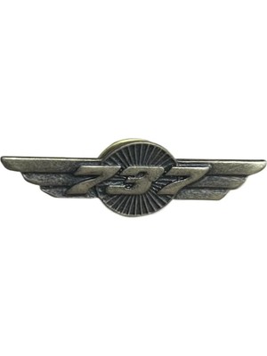 Brove B 737