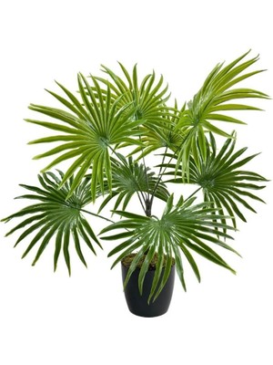 Nettenevime Yapay Çiçek Yelpaze Palmiye 8 Dal 50 * 40CM Salon Çiçeği Plastik Siyah Saksılı Ya