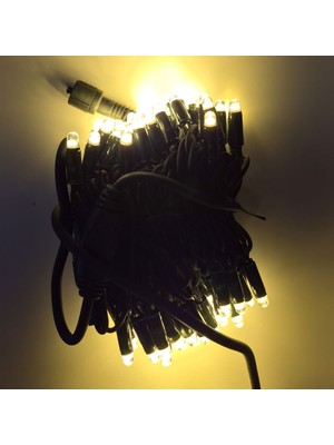 Sunlight Dış Mekan LED Aydınlatma 10M Yeşil Kablo 100L Gün Işığı