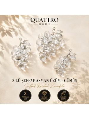 Quattro Home 3'lü Şeffaf Asman Üzüm - Gümüş