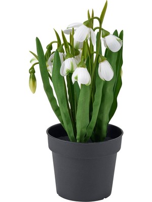 IKEA Modern Yeşil Yapay Bitki 9 cm - Dekoratif Ev Bahçe Ofis Süs Bitki - Gerçekçi Doğal Görünüm - Bakım Gerektirmez