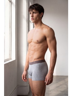 Syah Erkek Modal Dikişsiz Boxer