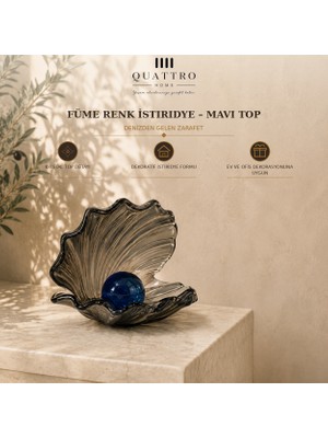 Quattro Home Füme Renk Istiridye - Mavi Top