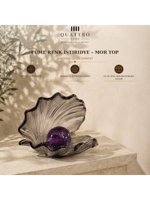 Quattro Home Füme Renk Istiridye - Mor Top