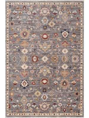Karmen Halı Focus FO004R Gri Renkli Vintage Modern Salon Koridor Yatak ve Oturma Odası Halısı