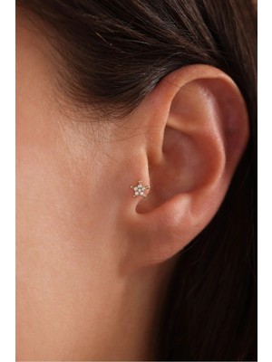 Gianfranco 14 Ayar Altın Taşlı Yıldız Big Tragus Küpe
